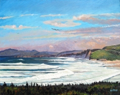 wavy beach with seagulls